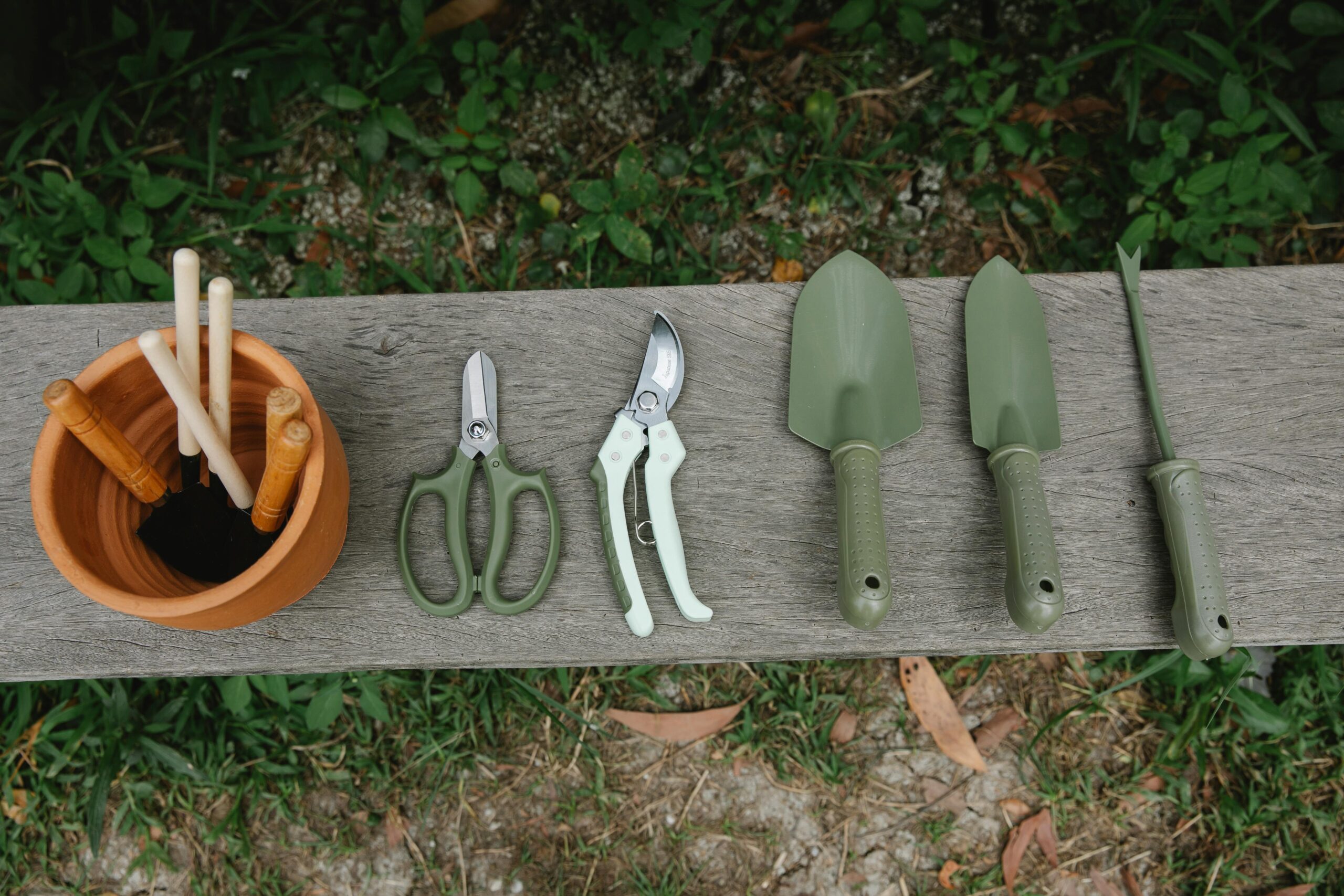 Read more about the article Buy The Best Weed Puller Tool (Reviewed)