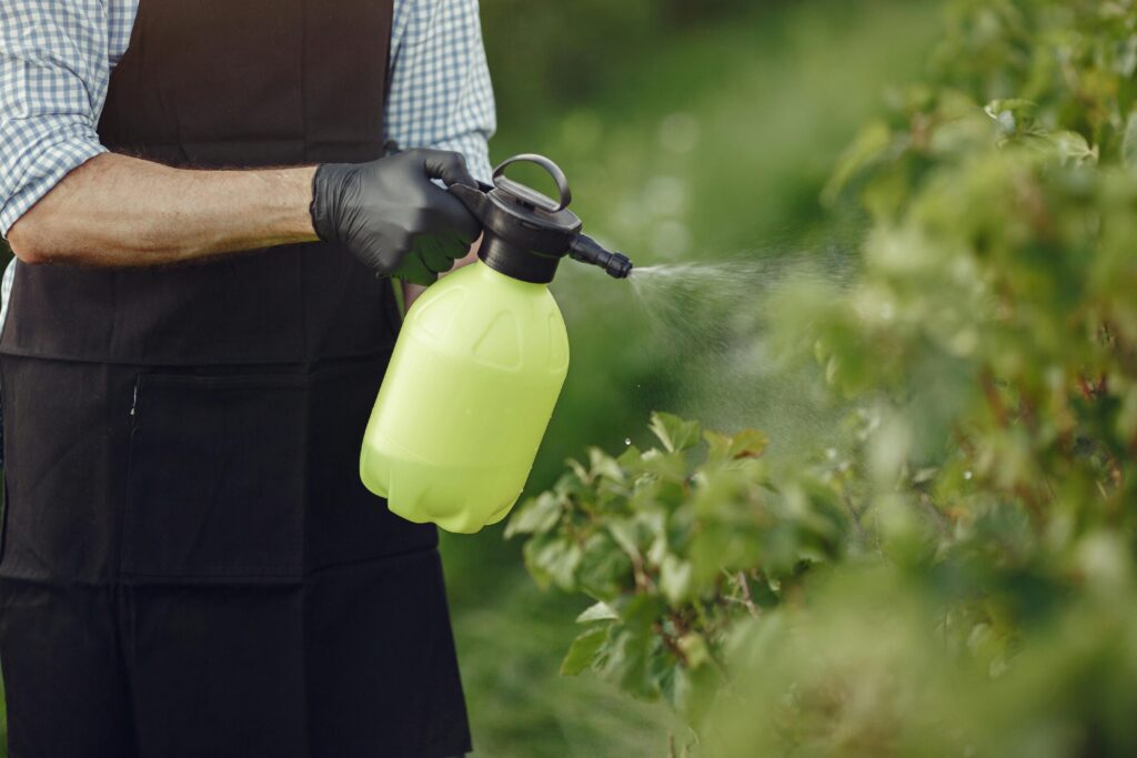 Pump sprayer