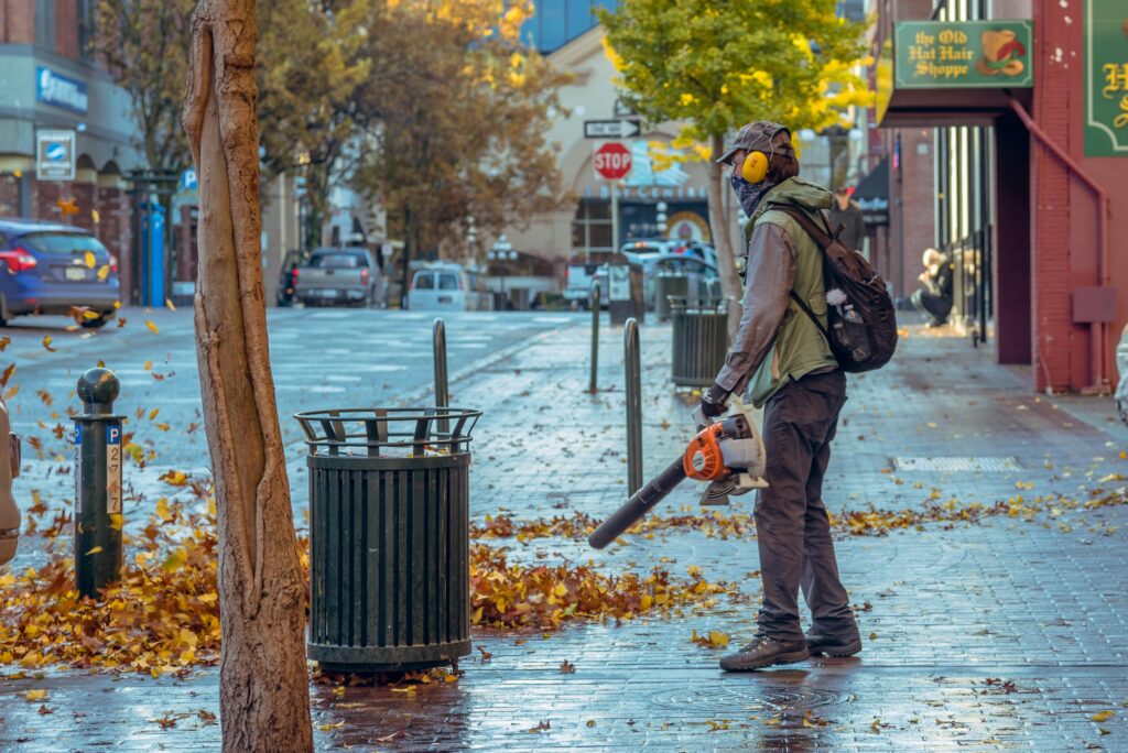 Electric Leaf Blowers